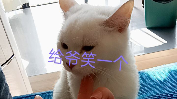 排位上分