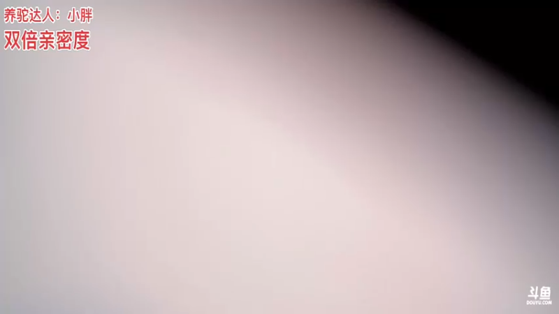 【2021-11-12 22点场】骆歆冲冲冲：双倍亲密度，给我冲！