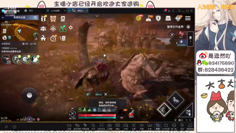 【2021-11-12 19点场】淰然乀：黑色沙漠手游最强导师