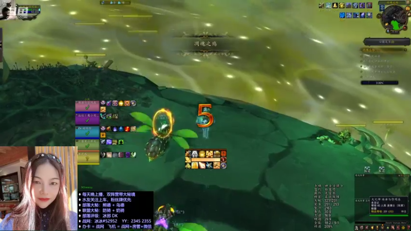 【魔兽世界】凋魂 22C 残暴  奶骑