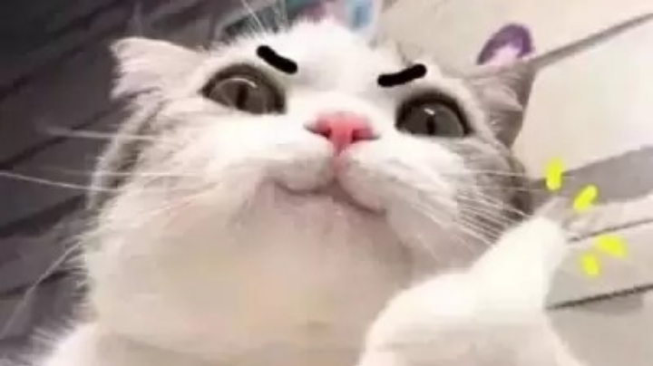 。