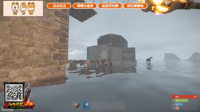 【2021-11-14 02点场】GY阳哥：开荒了 点点关注