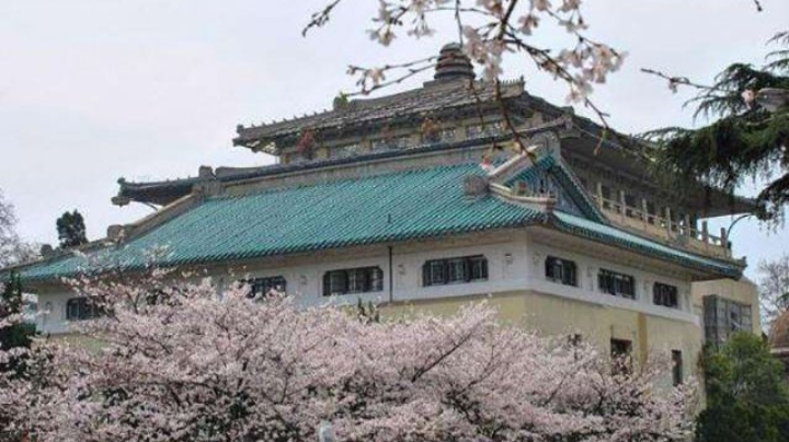 武大红枫辩论队初赛知识垄断