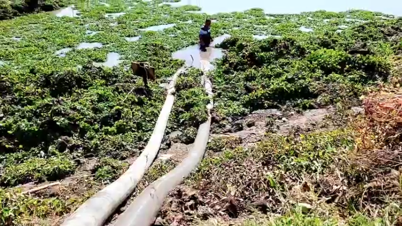 【2021-11-14 12点场】洪湖小肖：加油加油加油加油 447507