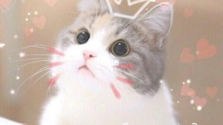 累了3