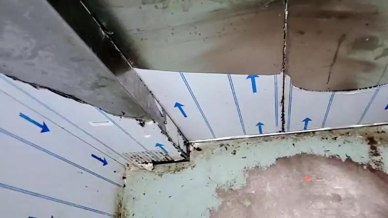 【2021-11-14 10点场】洪湖小肖：加油加油加油加油 447507