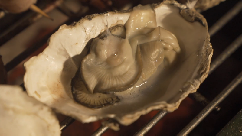【美食】野食小哥的精彩时刻 20211114 01点场
