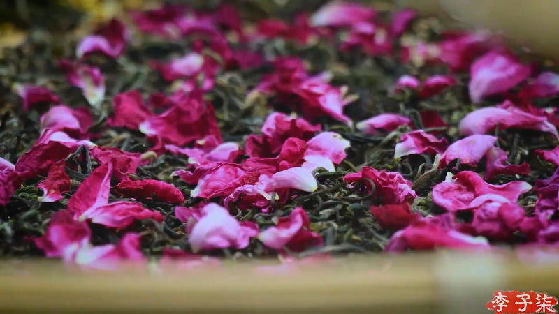 【美食】李子柒liziqi的精彩时刻 20211114 19点场