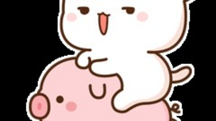 菜鸟