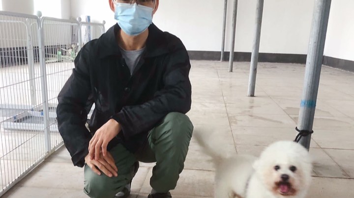 大白公第13天，护食脱敏边喂边走动边添加喂食。