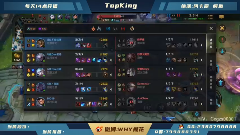 【2021-11-14 17点场】襟花啊：王者局上单把把乱杀