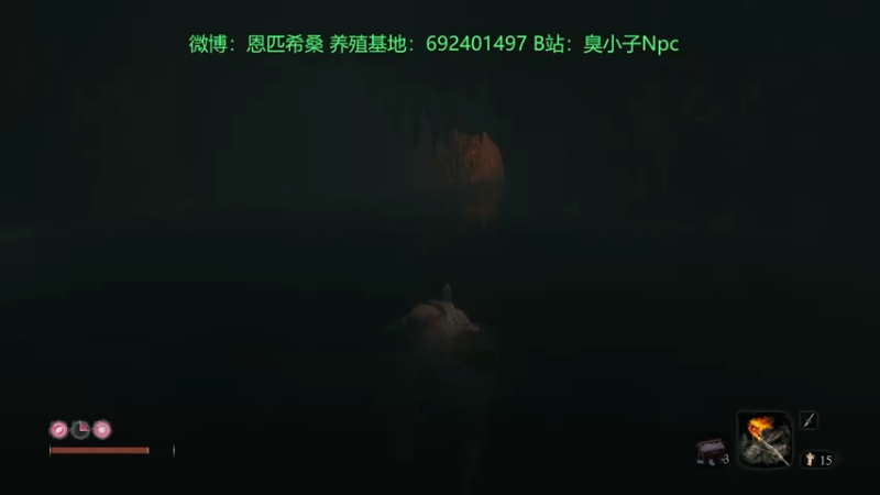 【2021-11-15 01点场】Npccccccccccccc：健康哥day3 先永劫后只狗