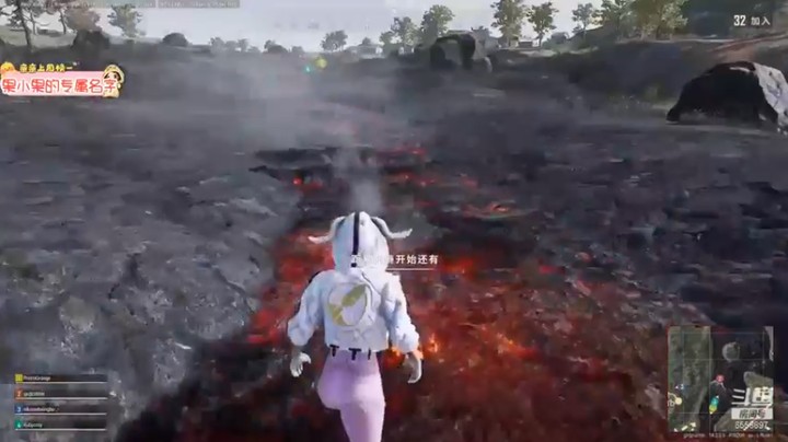 【果小果是个弟弟】：击杀最后一人，顺利吃鸡