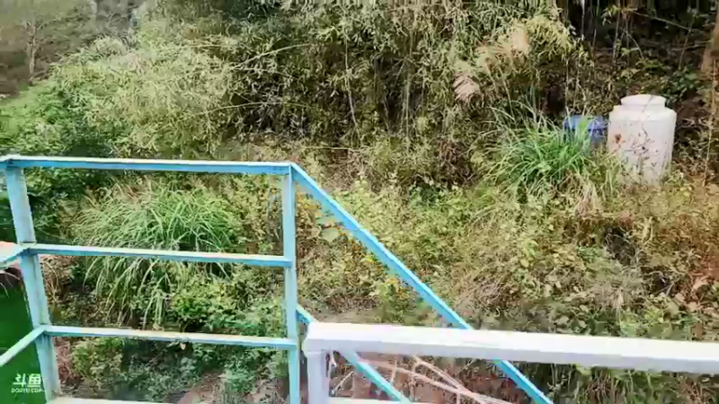 【2021-11-15 10点场】逐梦兄弟：十一点不见不散