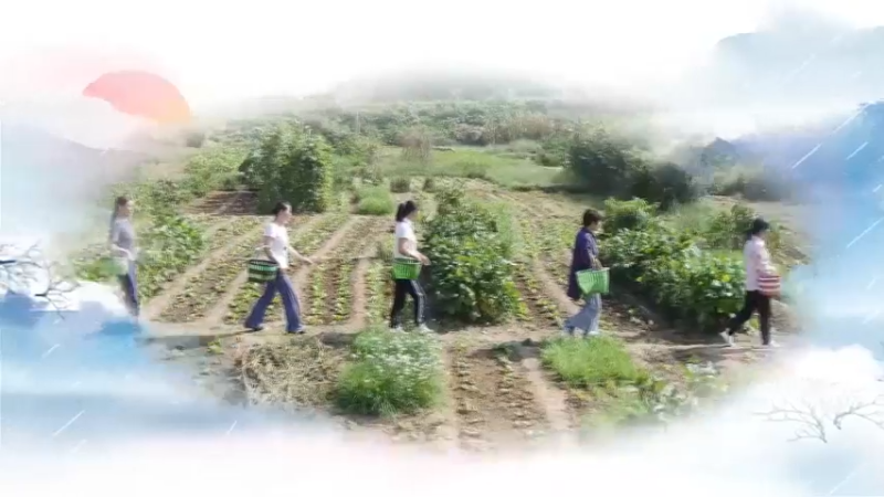 田园美食系列2