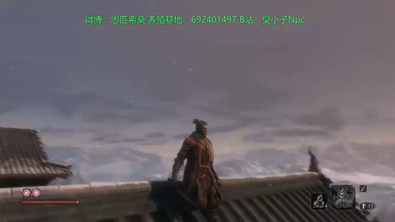 【2021-11-14 23点场】Npccccccccccccc：健康哥day3 先永劫后只狗