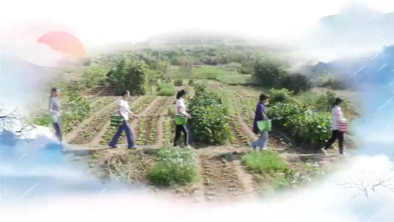田园美食系列8