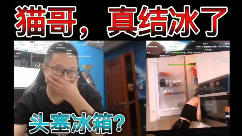 猫哥，真结冰了？惩罚三岁头塞冰箱~