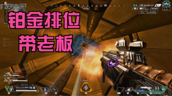 铂金排位带老板