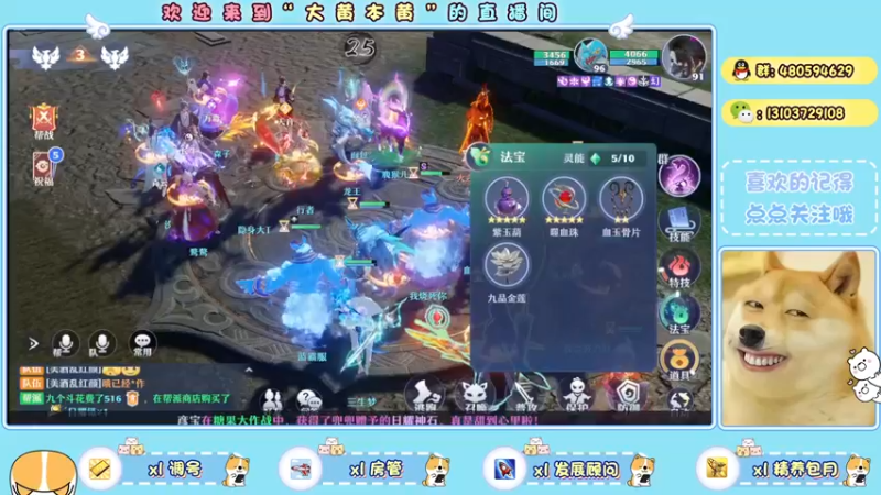 【2021-11-15 21点场】大黄本黄：高效带肝一切