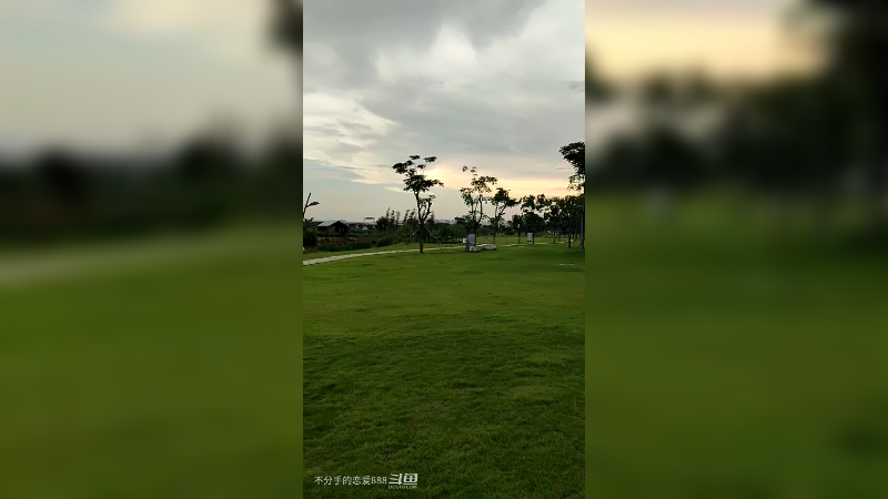 风景秀丽，空气清新的湿地公园2