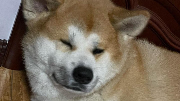 上车就是干