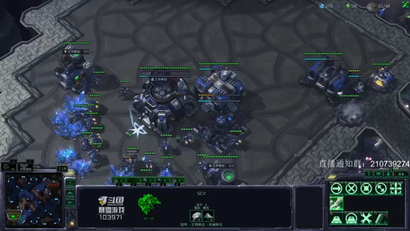 【2021-11-15 20点场】SCLeeLee：国服上分一段时间