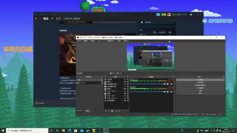 【2021-11-15 21点场】龙眼皮Lyd：《泰拉瑞亚》terraria