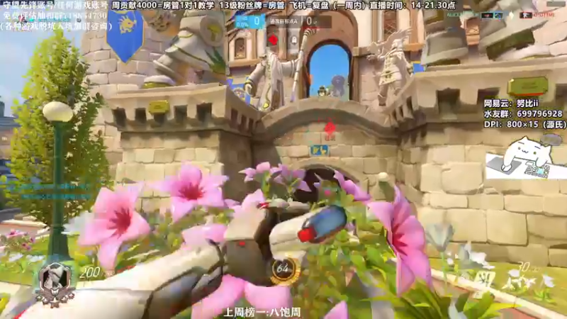 【2021-11-15 18点场】努比ovo：努比:有点迷茫