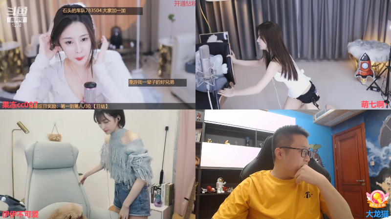 这是我剪辑的大龙猫的直播精彩时刻，快来看看吧~