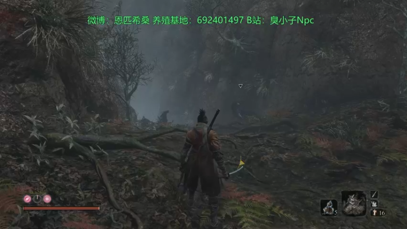 【2021-11-15 22点场】Npccccccccccccc：健康哥day4 先劫后二次猿