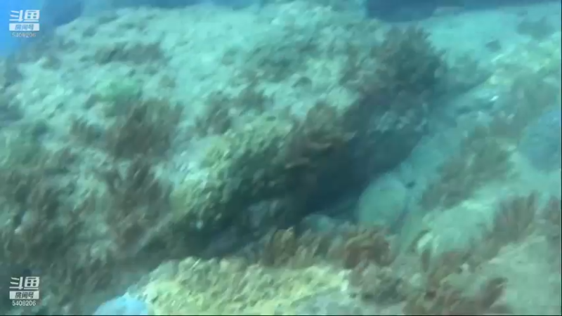 【2021-11-16 15点场】海道丶：多元化筹备中……