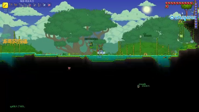 【2021-11-16 01点场】龙眼皮Lyd：《泰拉瑞亚》terraria