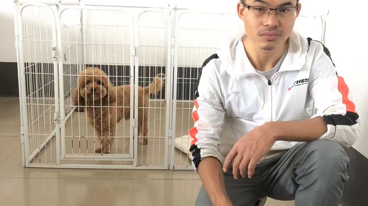 贝贝公第7天，牵绳训练