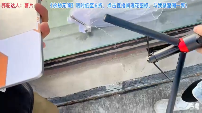 【2021-11-16 15点场】骆歆冲冲冲：骆歆：臭脸