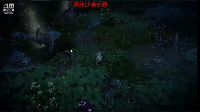 【2021-11-09 15点场】请叫我流年吖：黑色沙漠手游，新游热力