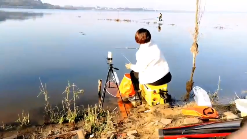 【2021-11-16 07点场】中华户外钓鱼：小水库试钓