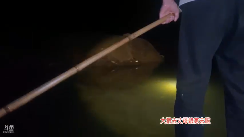 【2021-11-16 21点场】魅力生活i：给奶哥叉大板鲫