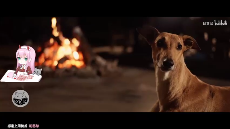 【2021-11-17 13点场】晚晚呦：【晚晚】周三愉快 •͈ᴗ•͈◞ෆ