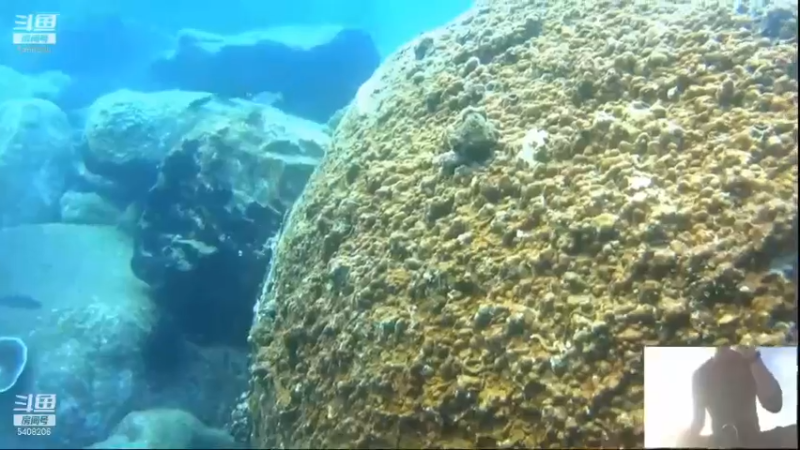 【2021-11-17 11点场】海道丶：多元化筹备中……