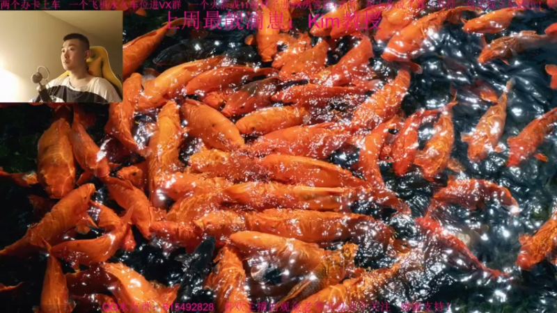 【2021-11-16 10点场】主播世贤：最强画质，极致体验
