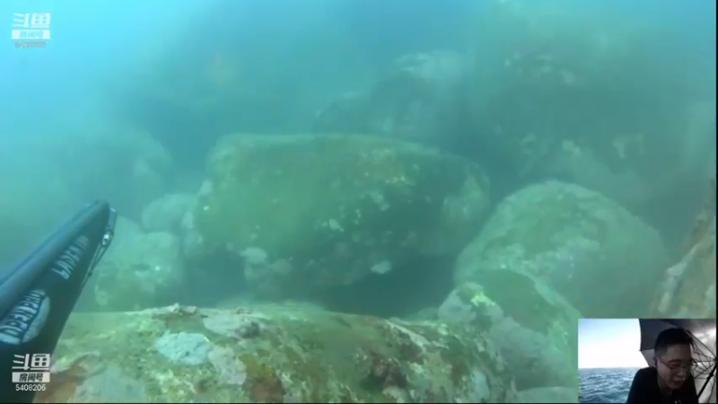 【2021-11-17 09点场】海道丶：多元化筹备中……