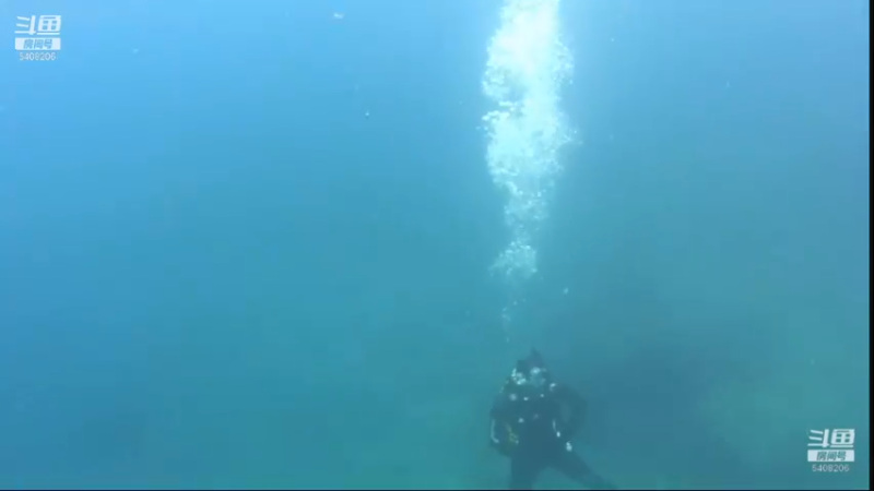 【2021-11-17 17点场】海道丶：多元化筹备中……