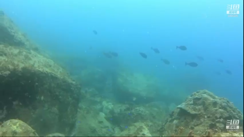【2021-11-17 05点场】海道丶：多元化筹备中……