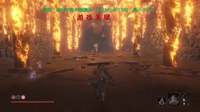 【2021-11-16 23点场】Npccccccccccccc：健康哥day5 下午1点见晚上继续只狗