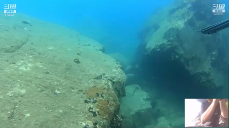 【2021-11-16 21点场】海道丶：多元化筹备中……