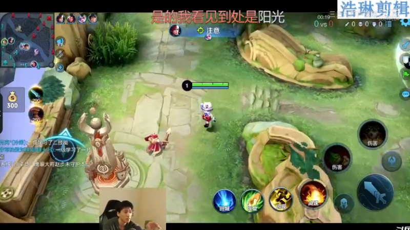 少年不太冷教学鲁班七号10.29-1