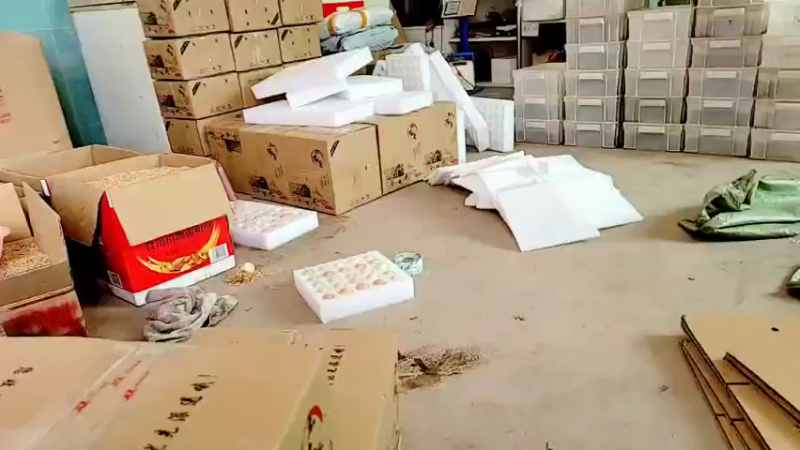 【2021-11-17 10点场】洪湖小肖：加油加油加油加油 447507