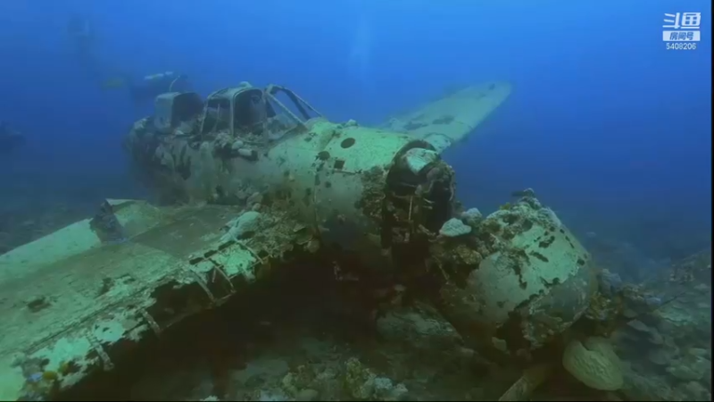 【2021-11-17 13点场】海道丶：多元化筹备中……