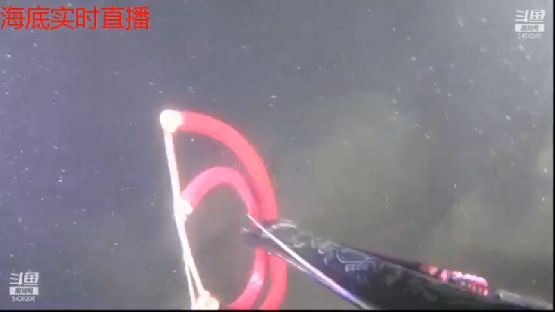 【2021-11-17 03点场】海道丶：多元化筹备中……